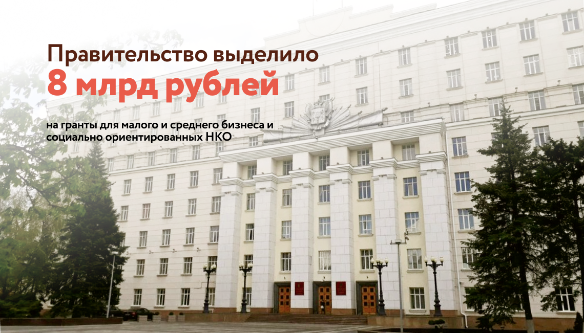 Правительство выделило 8 млрд рублей на гранты для малого и среднего бизнеса и социально ориентированных НКО
