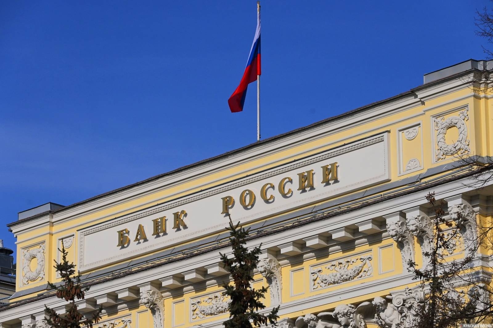 Донских предпринимателей приглашают к участию в мониторинге Банка России